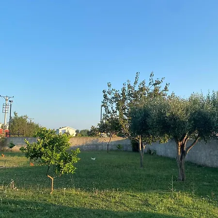 Al Mare Tale 2 Lezhë